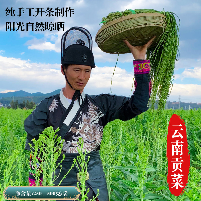 云南贡菜大理贡菜250g500精选一级贡菜干蔬菜干菜原产地发货