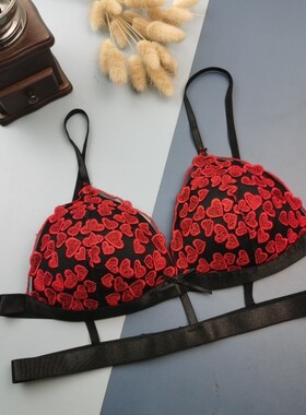 SLXL蕾丝薄海绵垫无钢圈三角杯文胸大码内衣性感外贸刺绣内衣胸罩