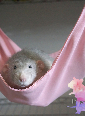 11的鼠宝 花枝鼠吊床 仓鼠 小宠用品 多色可选25/30cm 3个包邮