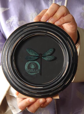 暗溪色蟌蜻蜓标本装饰画复古礼物