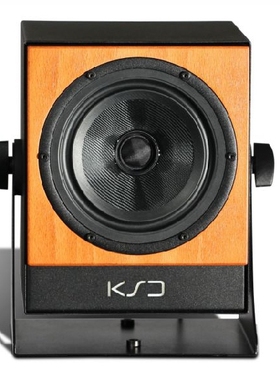 KS Digital KSD C5 Reference 同轴录音室监听音箱 国行 单只