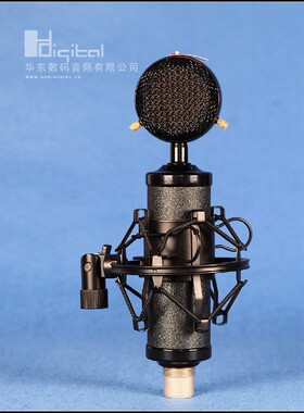 国行Violet-Design The Maestro艺术大师电容话筒 两年质保送防震