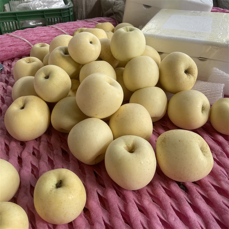 脆甜多汁烟台苹果黄金奶油富士