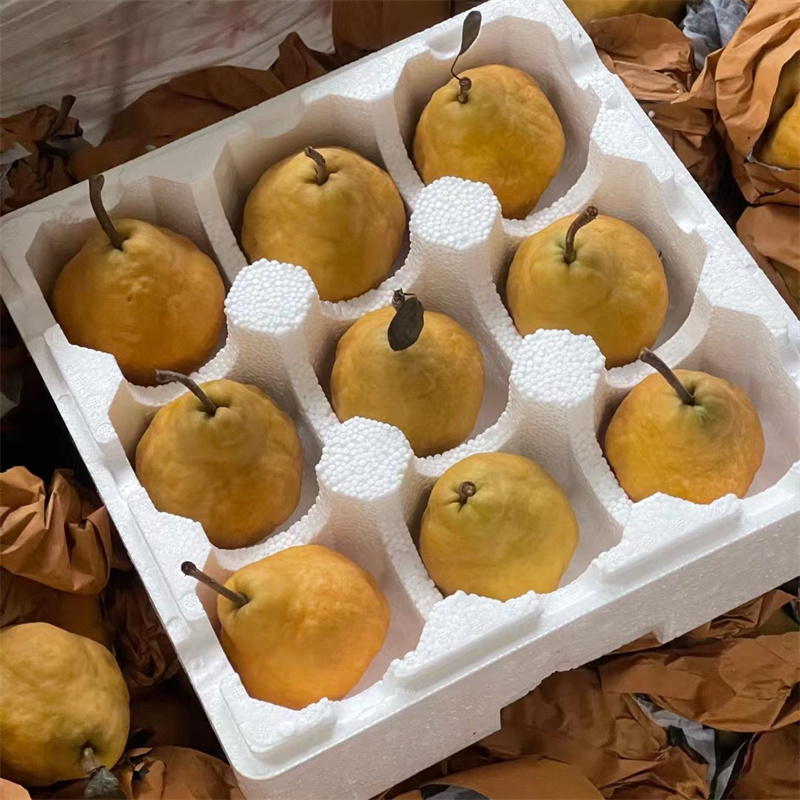 烟台丑梨甜糯香甜好吃