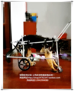大型残疾宠物代步车/大狗助行轮椅宠物代步车/四肢瘫痪宠物代步i.