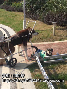 大型残疾宠物代步车/大狗助行轮椅宠物代步车/四肢瘫痪宠物代步车