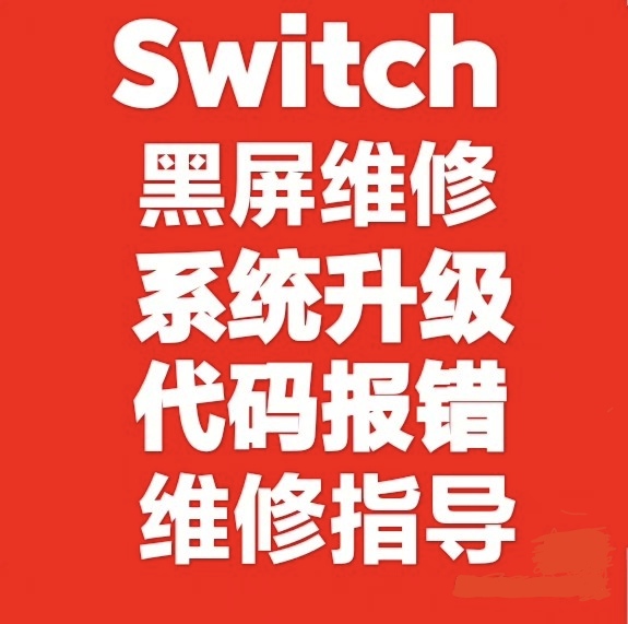 switch 维修 升级 改装 扩容 硬改