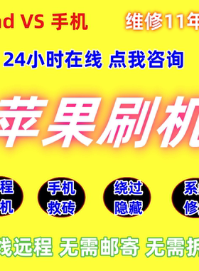 适用苹果刷机远程iPhone6s78X隐藏解屏幕iPad平板手机绕过激活air