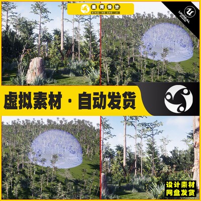 UE5 Depression Marsh Habitat Brush 沼泽栖息地湿地灌木场景5.3