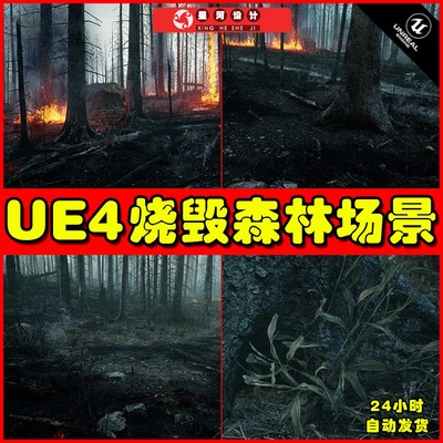 UE4UE5 MW Burned Dead Trees Forest Biome 燃烧森林树林场景