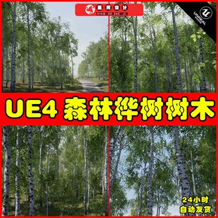 UE4UE5 Trees Birch Tree 森林树木桦树树林环境场景植物道具