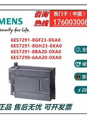 西门子内存卡6ES7290/7291/-6AA/8BA20/8GF/8GH/1AA23-0XA0