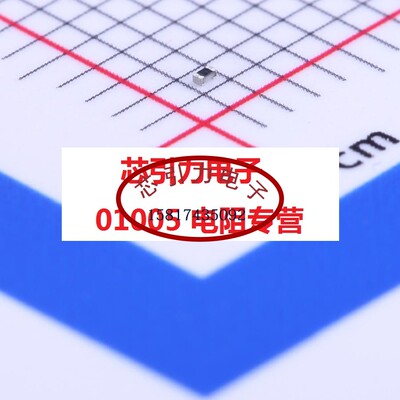 RC0100FR-073M01L 01005 3.01MRΩ±1% 3.01MRΩ±1% 31.25mW