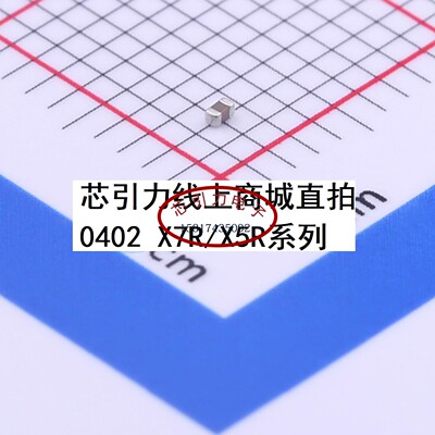 0402 330nF ±20%  10V X5R TCC0402X5R334M100AT 贴片电容可直拍