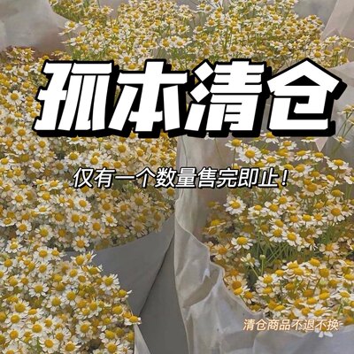 孤本宝藏饰品清仓捡漏