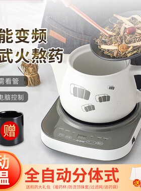 火电壶两件陶瓷家用式大容量文武煎药机新款智能变频预约煎药煎壶