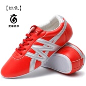 男女学生竞技表演 武馆训练长拳南拳健身鞋 龙拳彩色皮鞋 祥云武术鞋