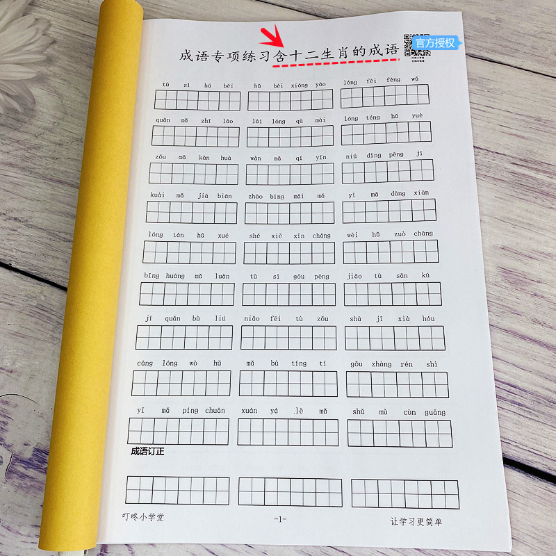 看拼音写成语积累本小学生初中词典大全默写通用大号田字格练习本怎么样,好用不?