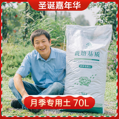 【圣诞嘉年华】天狼 营养土组合套餐