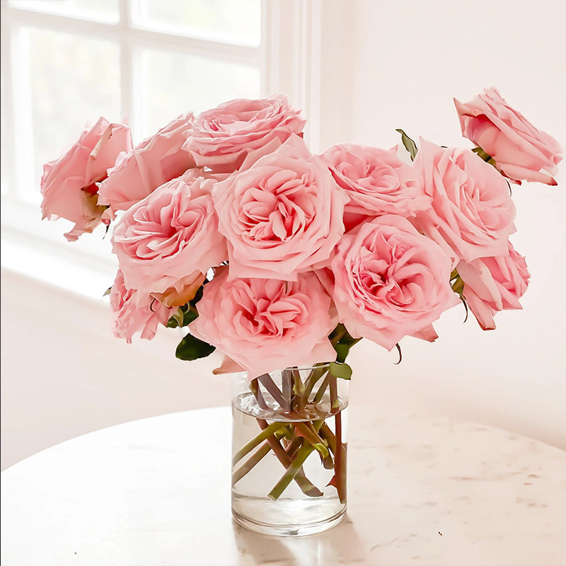 天狼月季 粉哈娜/粉荔枝 月季玫瑰 多季大花浓香切花月季