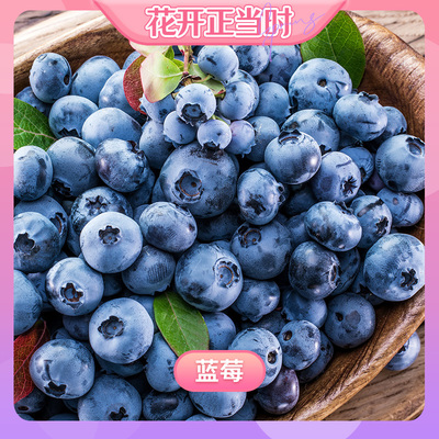 观花+吃果，阳台也能种的果树