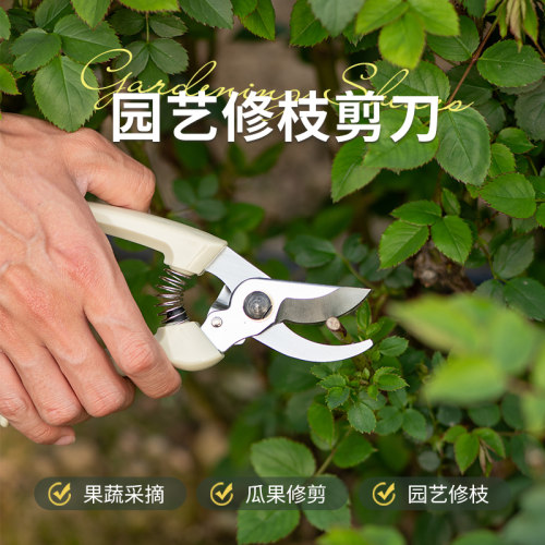 天狼 园艺修枝剪刀 家庭园艺绿植花卉通用不锈钢锋利耐用