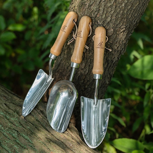 天狼月季不锈钢家用盆栽多功能