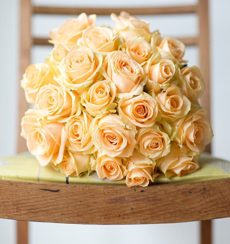 天狼蜜桃雪山木本花卉庭院春秋