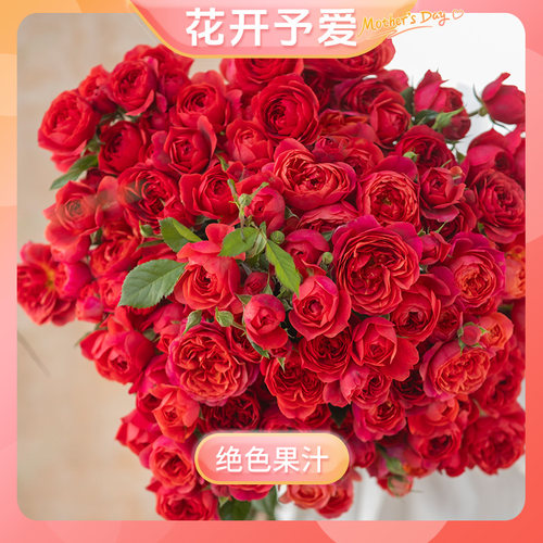 绝色果汁好养丰花勤花