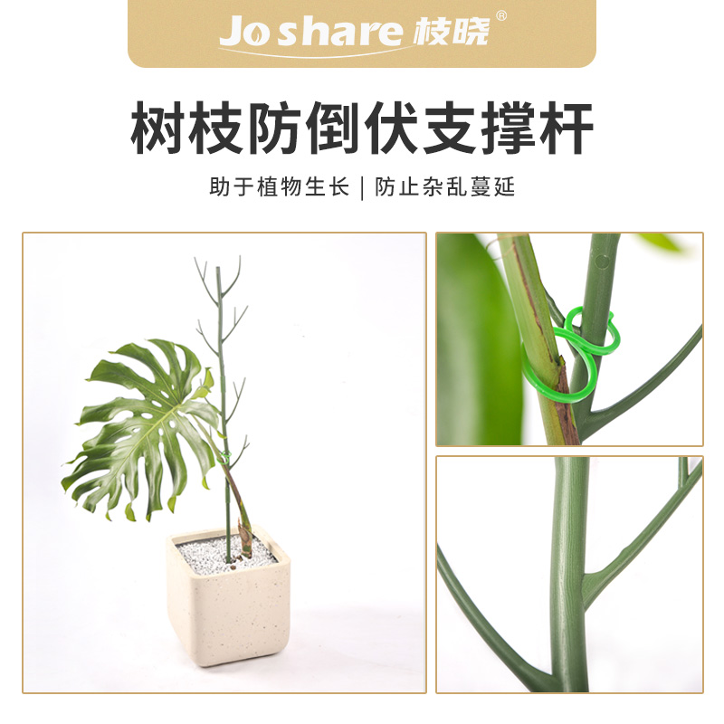 【天狼&枝晓 防倒伏支撑架】工厂直播专属