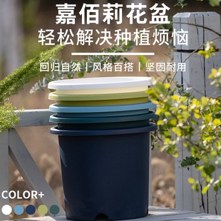 天狼嘉佰莉大尺寸花盆控根透气花盆家庭园艺庭院阳台绿植花卉