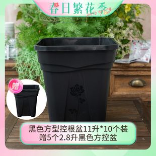 【正当红-方型控根盆】天狼月季铁线莲透气透水防烂根防积水