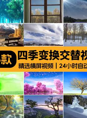 春夏秋冬一年四季变换植物变化季节交替变幻万物复苏视频素材