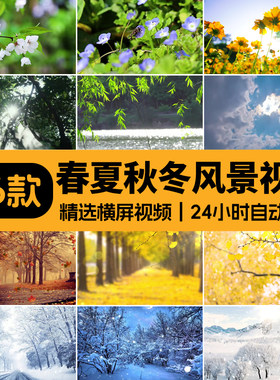 春夏秋冬天四季变换花草一年四季花草雪景LED大屏幕背景视频素材