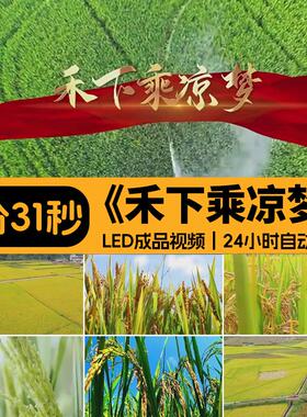 禾下乘凉梦 怀念袁隆平水稻粮食学生朗诵演讲led视频背景音乐制作