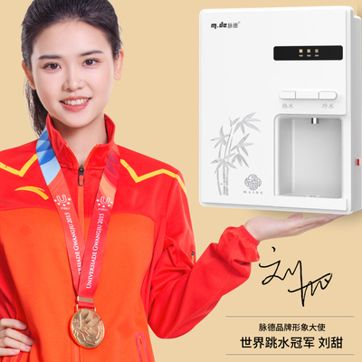 脉德管线饮水机壁挂式家用超薄迷你型内胆直饮非即热双温控开水机