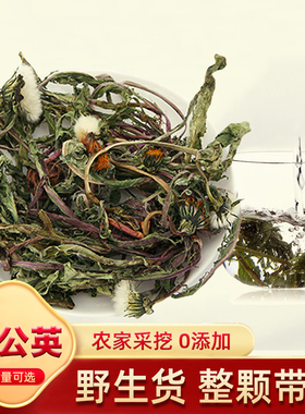 蒲公英中药材干货500g野整颗带根蒲公英茶生新鲜浦公英花茶婆婆丁