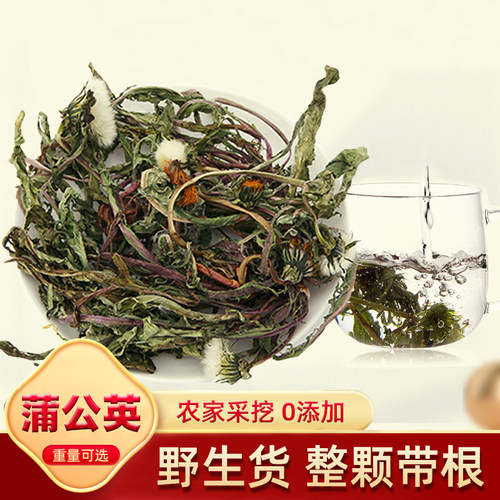 蒲公英野生整颗带根500g克/袋