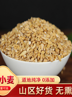 浮小麦小麦仁干瘪小麦米浮麦浮水麦浮小麦米浮小麦茶 中药材 500g