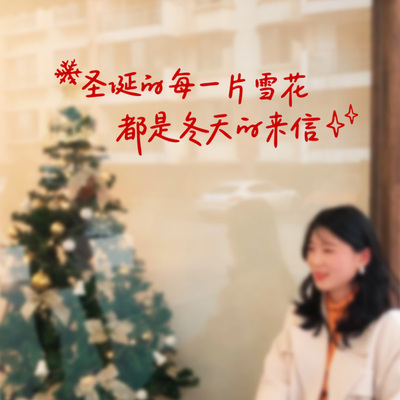 圣诞节文艺句子咖啡店奶茶服装橱窗贴 玻璃门商场背景装饰贴纸字