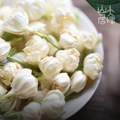 大理山居冻干茉莉花干花无硫无香精云南头茬可冷泡自然香2025新花