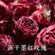 大理山居冻干墨红玫瑰花冠25年新花大朵食用重瓣玫瑰花茶一朵一杯