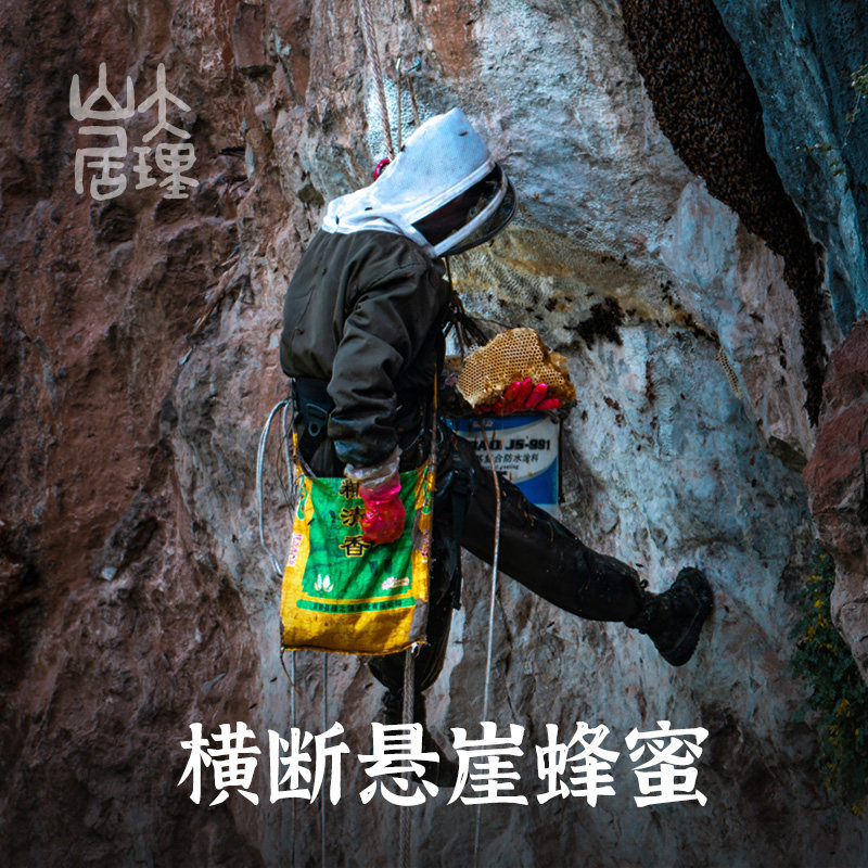 大理山居云南大黑蜂野生蜂蜜