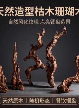 刺身摆盘沉木枯树根海鲜姿造意境装饰干树枝创意造型天然木头摆件