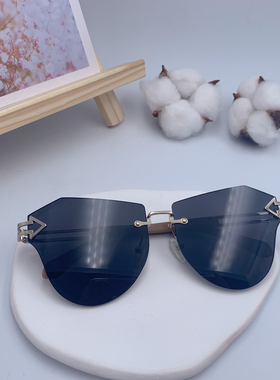 国际工厂/超轻防紫外线独特出行旅游拍照太阳镜墨镜网红同款LC192