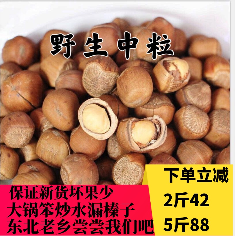 2025新货野生山榛子东北特产铁岭开原水漏手拍榛子产地直销中粒