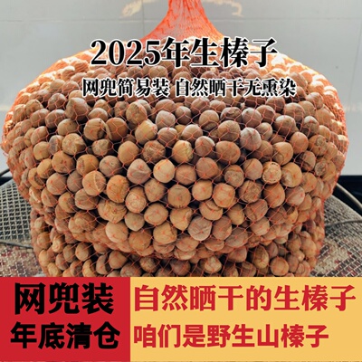 生的新榛子自然晒干无漂染原味