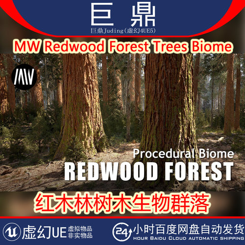 虚幻UE5.6+ MW Redwood Forest Trees Biome 红木林树木生物群落