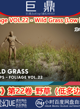 虚幻UE5.1+Foliage VOL.22 - Wild Grass (Low Poly)野草野花植被