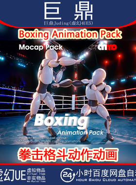 虚幻UE5 Boxing - MoCap Pack 人物拳击格斗跆拳道动作动画 4.15+